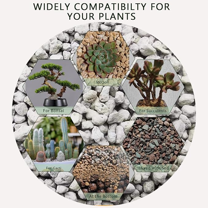 Horticultural Pumice for Plants 10QT, Natural Organic Pumice Stones for Succulent Cactus Bonsai Tree Orchid Potting Mixed, Improves Soil Aeration and Drainage, Promotes Root