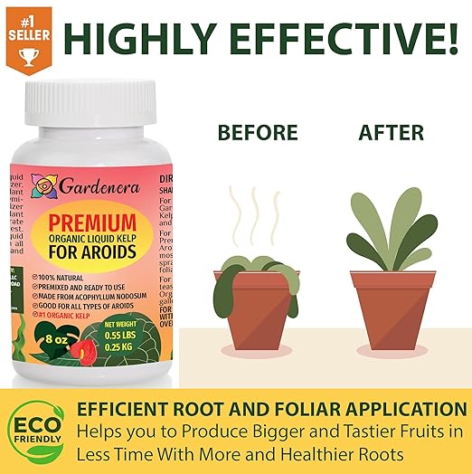 Premium Liquid Kelp Fertilizer for Aroid Plants - 16 oz - Boost Your Aroids' Health Naturally