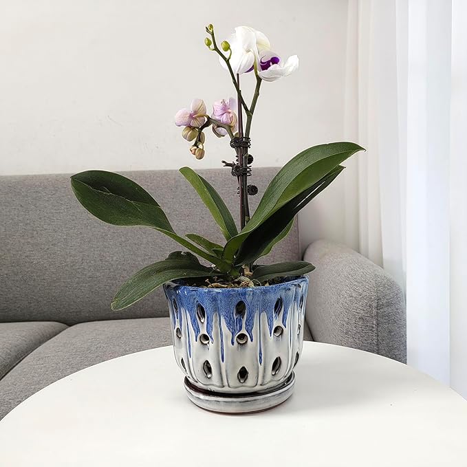 Ceramic Orchid Pot with Drainage Hole 6'' Orchid Planter (Blue Cover White)