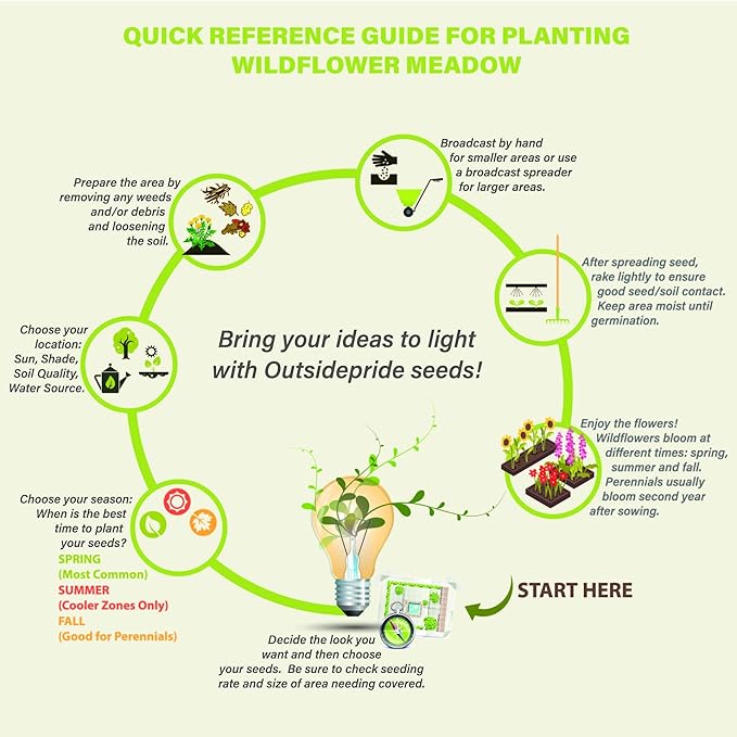 Outsidepride 10000 Seeds Biennial Digitalis Foxglove Gloxiniaeflora Flower Seed Mix for Planting