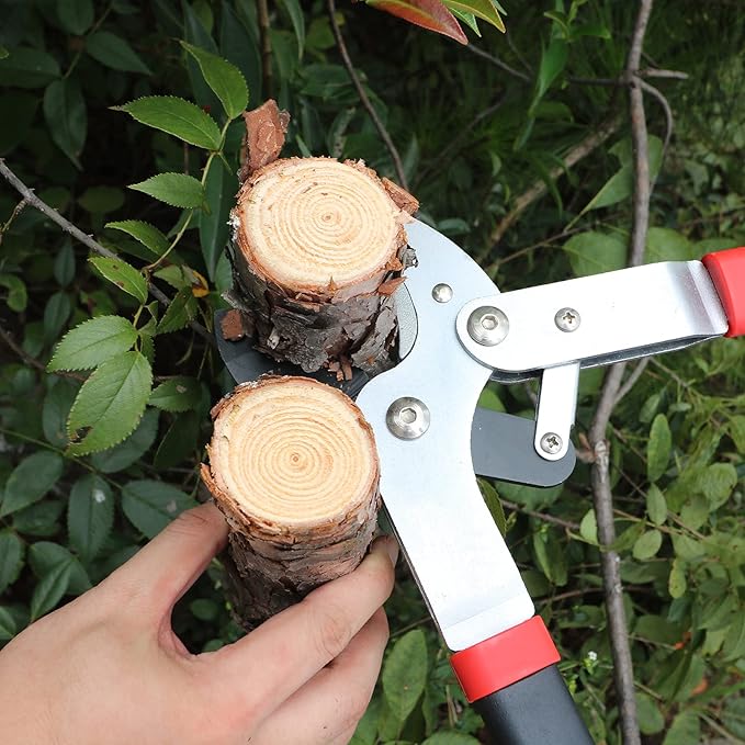 GARTOL Anvil Lopper with Compound Action 29 Inch Heavy Duty Tree Branch Cutter, 2 inch Cutting Capacity Tree Trimmer, with Ergonomically Designed Non-Slip Handles