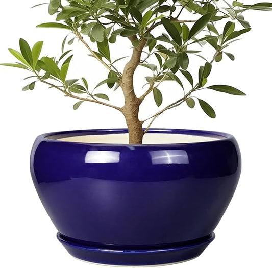 Ceramic Planter - 13 Inch Indoor Plant Pot for Plants with Drainage Hole and Saucer Large Planter Round Outdoor Flower Pot Mid-Century for House Patio Room Decor Blue