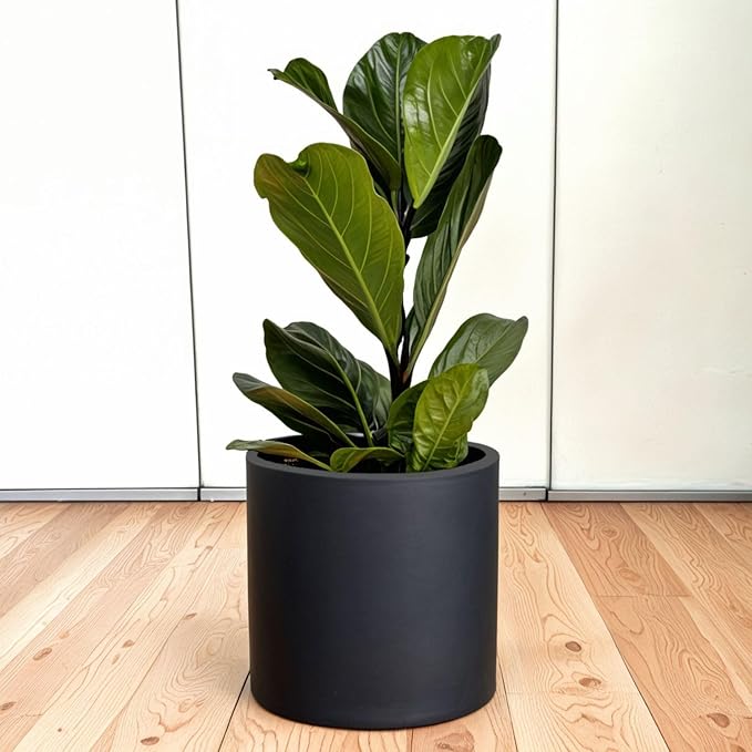 Fox & Fern Large 12 Inch Black Plant Pot — Premium Lightweight Fiberstone Matte Black Planter w Drainage Plug; Large Indoor & Outdoor Planter; 12 Inch Pots for Plants; Weather Resistant & UV Resistant