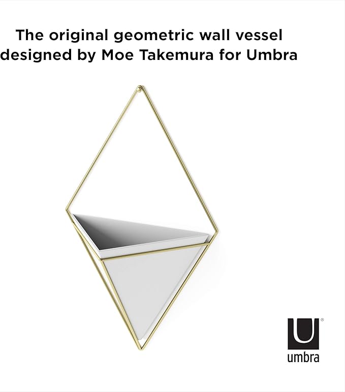 Umbra Trigg Hanging Planter Vase Wall Decor, Pot and Container for Succulents, Cactus, Faux Plants, and More, Large, White/Brass