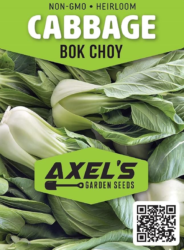 Cabbage Seeds for Planting – Non-GMO Heirloom Vegetable Seeds – Full Instruction Packets to Plant in Your Home Outdoor Garden – Gardening Gift – 200 Bok Choy Cabbage Seeds Per Pack (1 Packet)