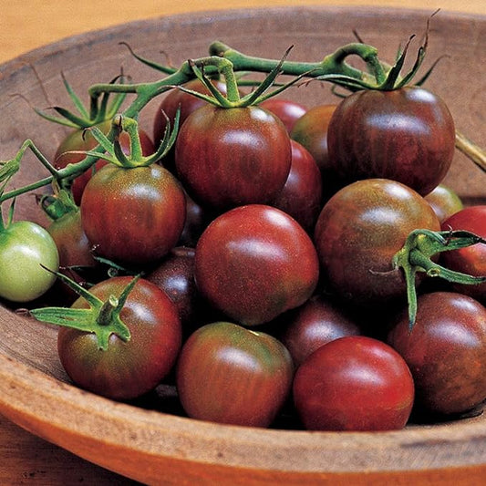 Burpee 'Black Pearl' Hybrid, Cherry Tomato, Extra Sweet Flavor, 30 Non-GMO Seeds