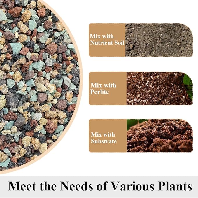 Succulent Cactus Soil Potting Mix Horticultural Lava Rocks Bonsai Soil for Indoor Plants Drainage Volcanic Rock for Terrarium Gardening Top Dressing 2lb