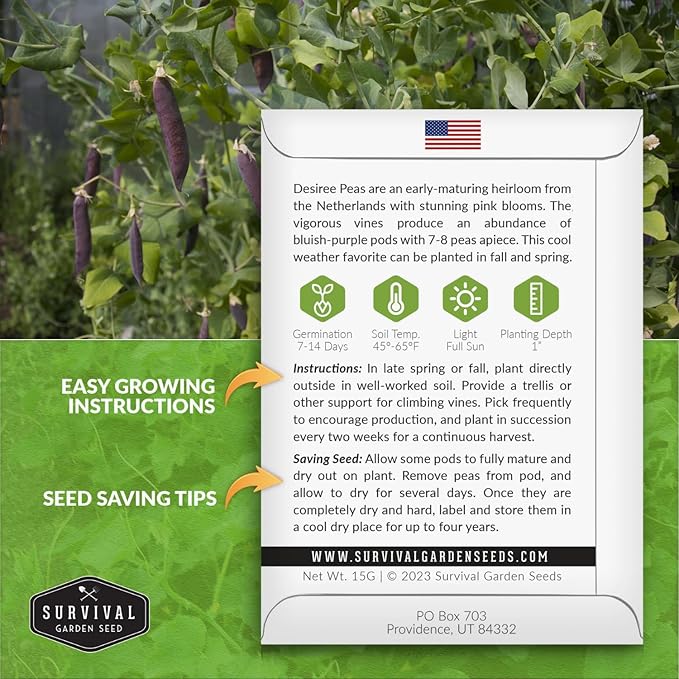 Desiree Pea Seed for Planting - 3 Packets with Instructions to Plant and Grow Delicious Purple-Podded Snap Peas in Your Home Vegetable Garden - Non-GMO Heirloom Variety - Survival Garden Seeds
