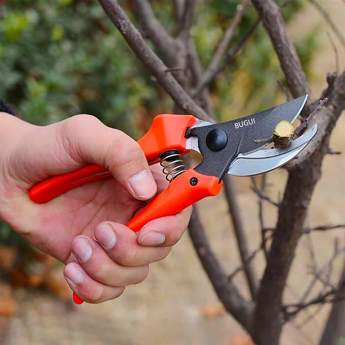 BUGUI 8" Gardening Scissors, Bypass Pruning Shears, 1" Cutting Capacity Sharp Garden Clippers with Low-friction Painted Stainless Steel Blade