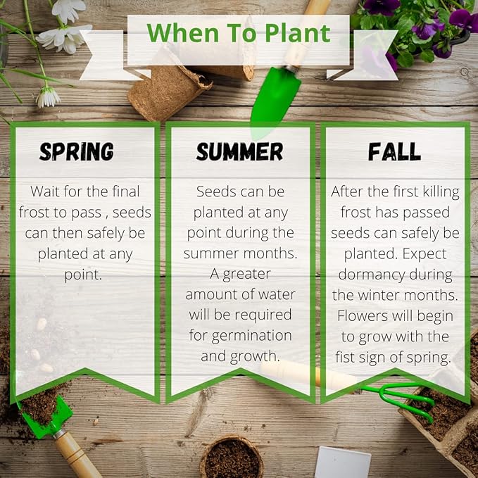 Camas- Pollinator Wildflower Seed Packets - (20) Party Favors to Attract Bees, Butterflies, and Hummingbirds to Your Plant and Flower Garden-Annual Wildflower Mix