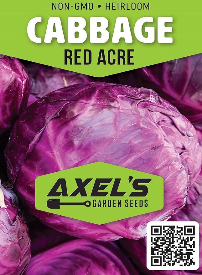 Cabbage Seeds for Planting - Plant & Grow Red Acre Cabbage in Your Home Outdoor Vegetable Garden - Heirloom Non GMO Planting Packets with Full Instructions - Great Gardening Gift - 1 Packet