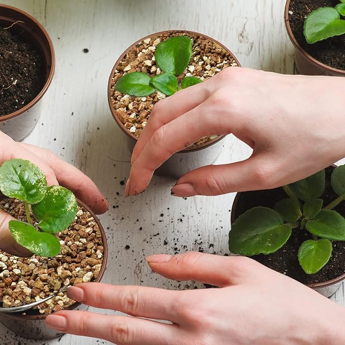 Halatool 8 QT Horticulture Vermiculite Professional Soil Addictive Coarse Grade Vermiculite for Plants Gardening Mushrooms Seed Starting Cat Grass