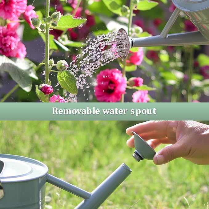 Watering Can for Outdoor Plants and Indoor Plants,1 Gallon Metal Watering Can for Garden Flower,Galvanized Steel Metal Water Can Watering Pot with Sprinkler Head