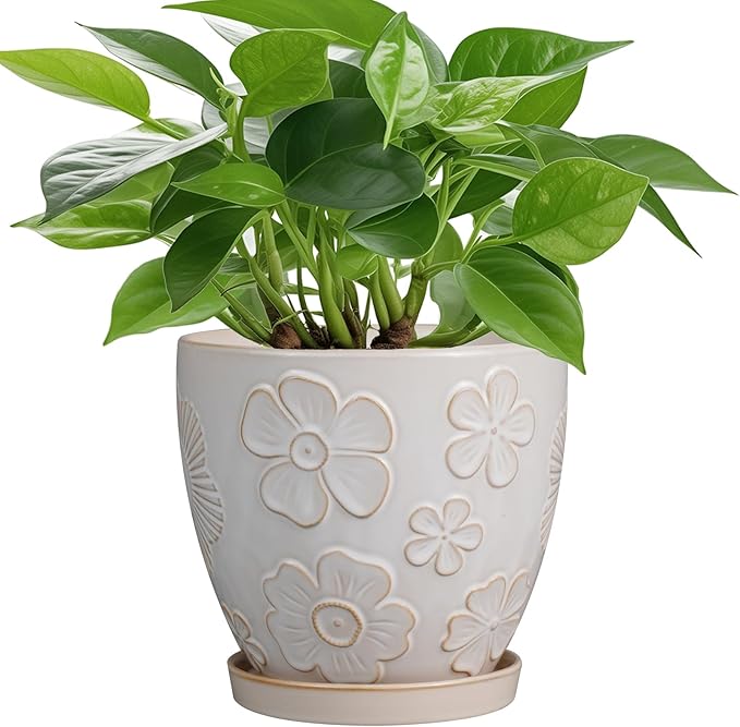 6 Inch Plant Pot with Drainage Hole and Saucer Ceramic Planter for Indoor Plant Flower Pot for Orchid Succulents Plants White