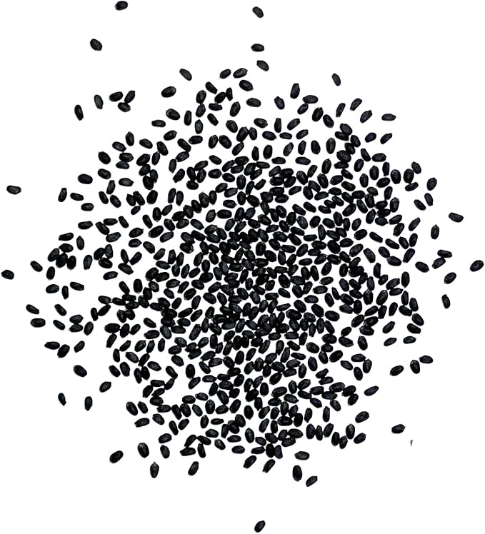 Seed Needs Italian Large Leaf Basil Seeds for Planting - Non-GMO, Heirloom & Untreated - Organically Grow an Indoor or Outdoor Home Grown Herb Garden (2 Packs)