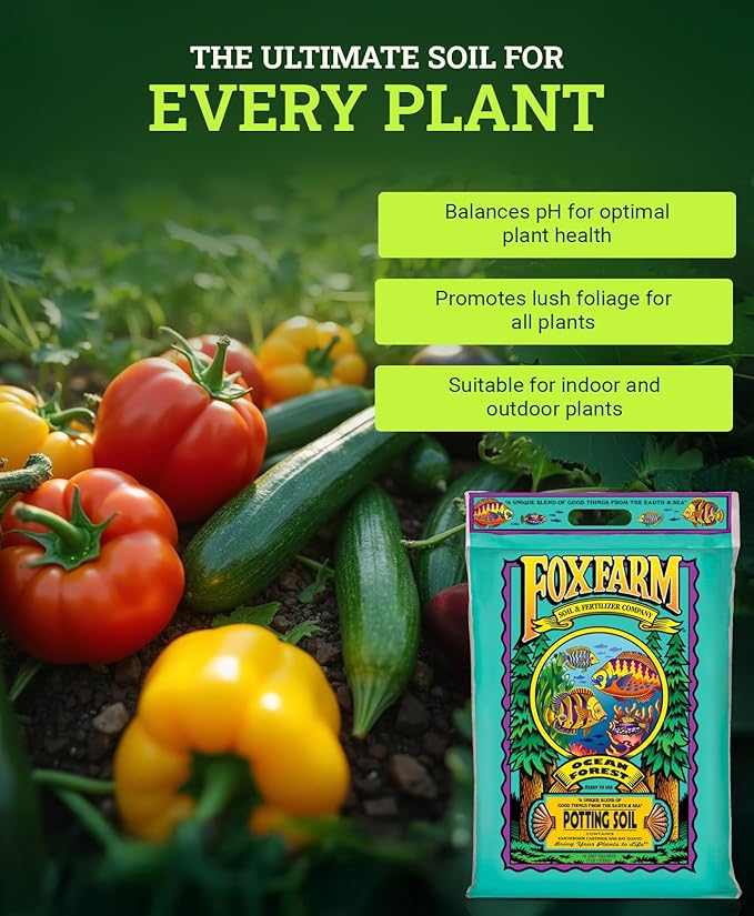 FoxFarm Ocean Forest Potting Soil, 12qt – Light, Aerated Texture, Designed for All Container Plants – pH Adjusted for Optimal Nutrient Uptake, Effectively Retains Moisture (12 Quart (2 Pack))