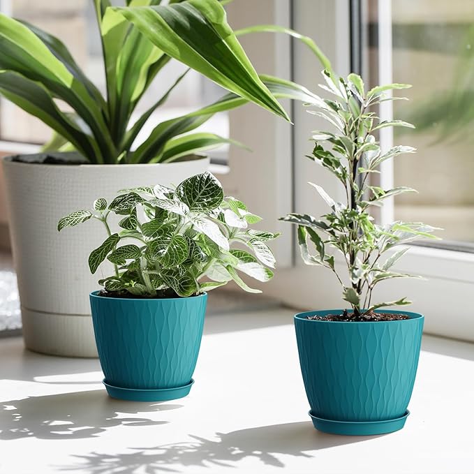 6 inch Plant Pots, 5 Pack Flower Pots with Drainage Holes and Saucers for Indoor Plants, Plastic Planters with Water Ripple for Small Garden House Plants, Nursery Pots for Succulent, Blue Green