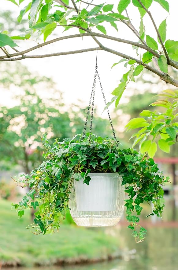 Melphoe 1 Pack Self Watering Hanging Planters Indoor Flower Pots, 8.3 Inch Outdoor Hanging Plant Pot Basket, Plant Hanger with 3Hooks Drainage Holes for Garden Home