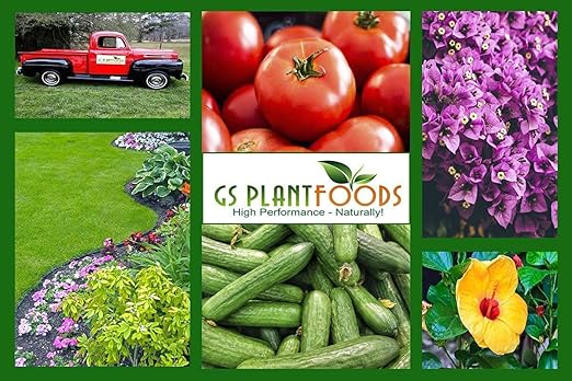 Soft Soil Liquid Soil Aerator & Lawn Treatment to Fix Compacted Soils, Improve Drainage with Non-Mechanical Liquid Application. 1 Gallon