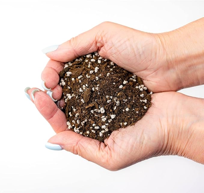 House Plant and Tropical Plant Potting Soil - Re-Potting Soil for All Types of Indoor House Plants - 4 Quart Bag