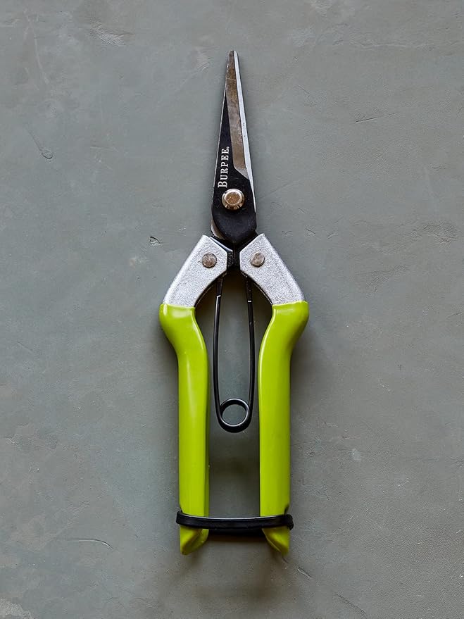 Burpee CR725 Garden Pruning Shears - Garden Hand Tools - Lightweight Precise Pruners for Gardening - Great for Flower Trimming or Vegetable Harvesting - Gardener Gifts