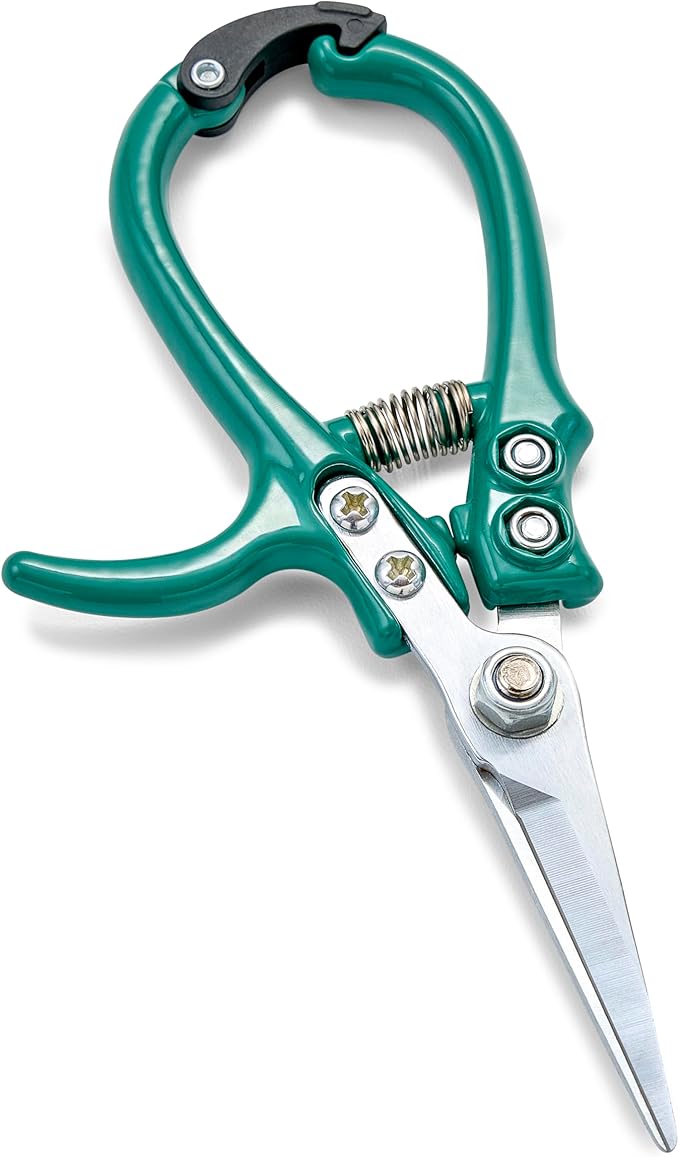Modern Sprout Pruning Shears for Gardening, Herb Snips, Flower Cutting Scissors, Indoor Plant Shears, Lightweight, Ergonomic, Carbon Steel Blade, Easy-Lock Safety, Aesthetic (Ocean)