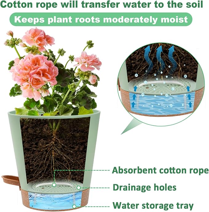 6in Self Watering Pots for Indoor Plants - 3pcs Bottom Watering African Violet Planters with Drainage, Plastic Houseplant Flower Pots for Snake Plant Succulent Garden Live Plants