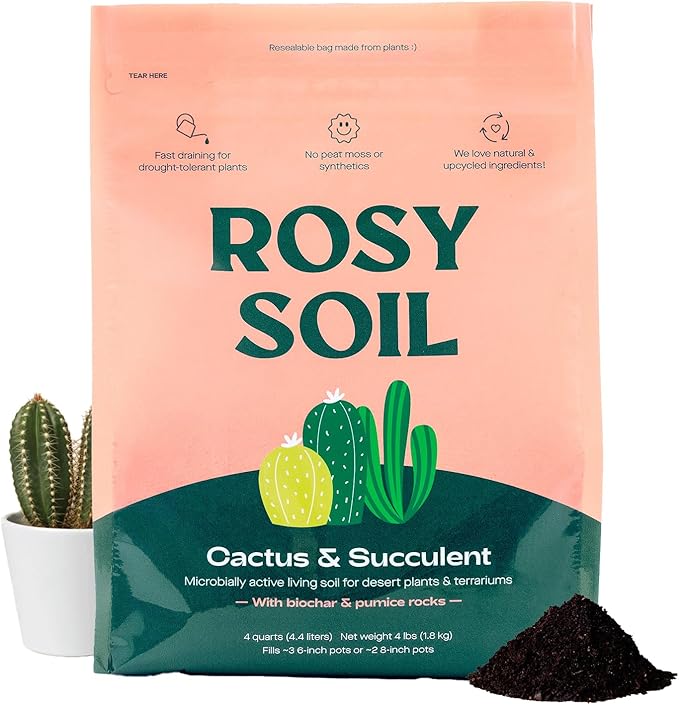 Cactus and Succulent Organic Potting Soil Mix for House Plants - Fast Draining, Root Boosting, Peat-Free, Less Prone to Gnats - Drought-Tolerant - Growth of Aloe Vera, Cacti and Indoor Succulents- 4qt