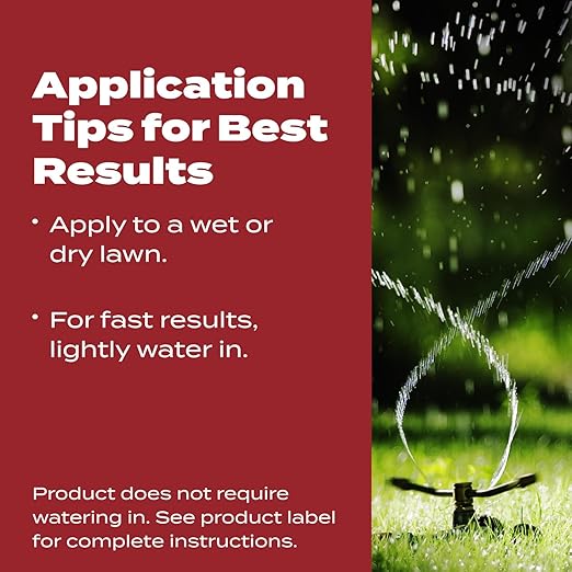 Scotts Turf Builder WinterGuard Fall Lawn Fertilizer for All Grass Types, 4,000 sq. ft., 10 lbs.