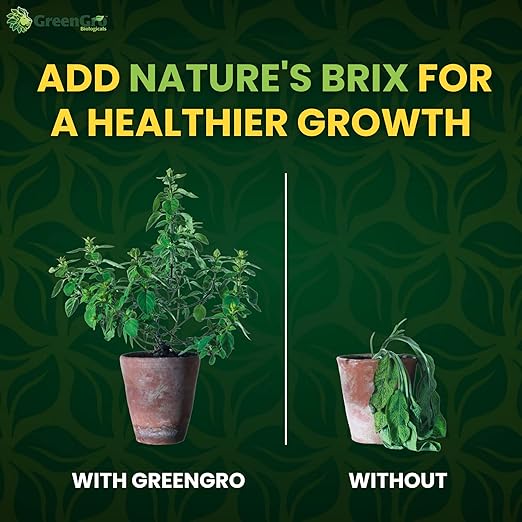 GreenGro Nature’s Brix 0-0-2, Premium Plant Microbe Food for All Gardening Methods, Increases Brix Levels and Resin Production (25 lb)