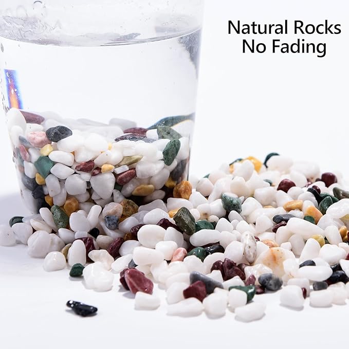 2LB Succulent and Cactus Gravel Pebbles, 1/4 Inch - 1/3 Inch Natural Decorative Polished Stones, River Rocks for Plants, Aquariums, Vases, Terrarium and Outdoor Gardening, 5 Mixed Colors