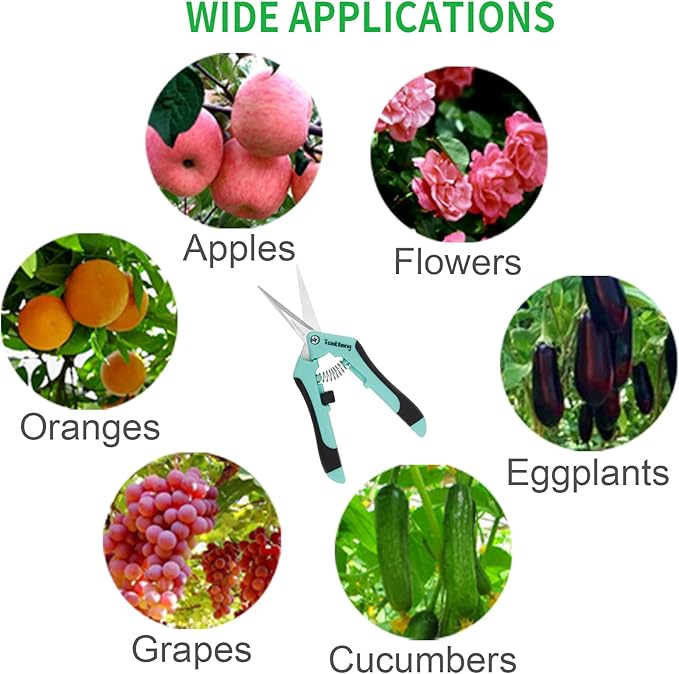 3 Packs Pruning Shears, Garden Trimming Scissors, Gardening Hand Pruning Snips, Titanium Coated Precision Bonsai Pruning Shears, Convenient and Efficient Flower Cutters (Blue)