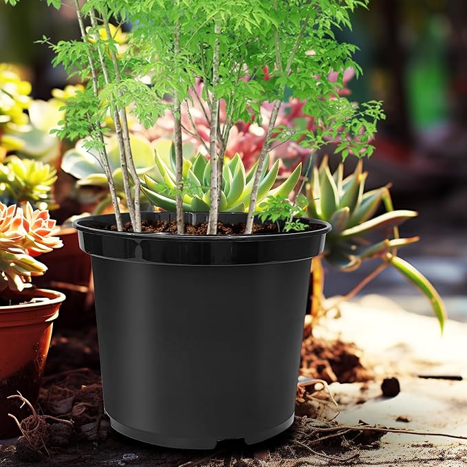 5 Gallon Pots for Plants, 12 Inch Plastic Nursery Pots with Drainage Holes, Round Sturdy Garden Pots for Outdoor Indoor Plants, Deep Nursery Plant Pots Planter, (5-Pack, Black)