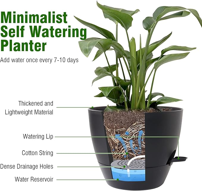 8 inch Self Watering Pots, 2 Pack Plastic Planters with Mesh Drainage Holes for Garden Plants and Flower, Plants Pots with Deep Reservoir for Indoor Outdoor Plants, Black