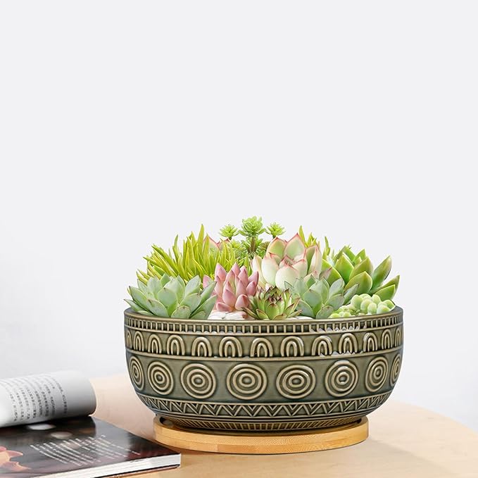8 Inch Ceramic Succulent Planter Pot with Drainage Hole and Saucer Round Shallow Planter for Indoor Plants, Gray-Green
