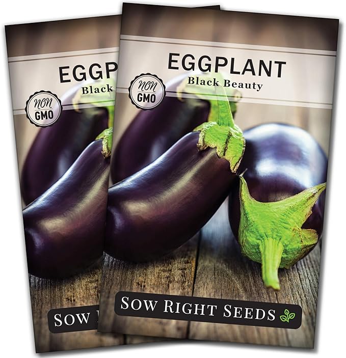 Sow Right Seeds - Black Beauty Eggplant Seed for Planting - Non-GMO Heirloom Packet with Instructions to Plant an Outdoor Home Vegetable Garden - Large Round Fruits, Deep Purple Variety (2)