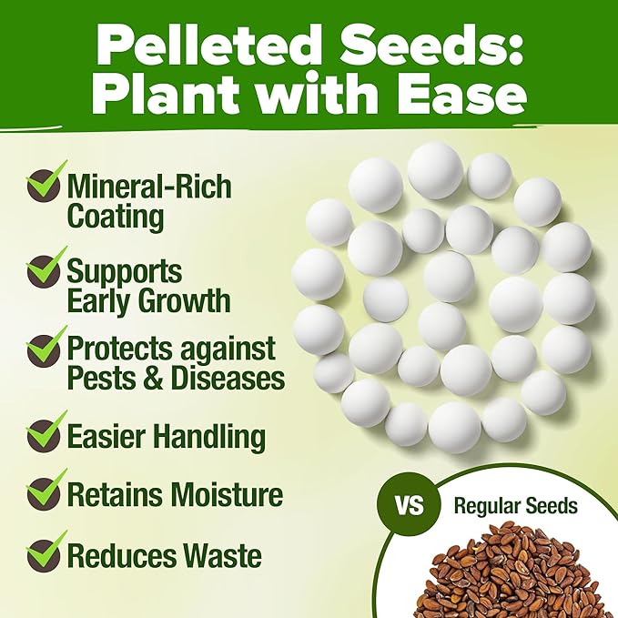 HOME GROWN 15 Organic Herb Seeds Variety Pack 2,500+ Non GMO, High-Germinating, Heirloom Seeds for Planting Indoor or Outdoor Herb Garden, Hydroponics Garden Seeds, Basil, Cilantro & More