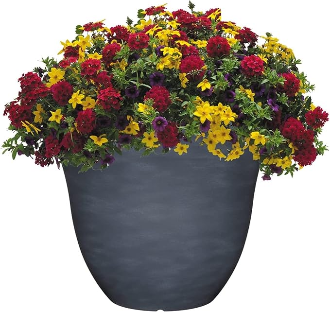 Classic Home and Garden Indoor/Outdoor Round Honeysuckle Resin Flower Pot Planter, Zinc Grey, 13"