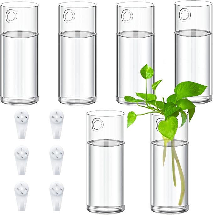 Baderke 6 Pcs Glass Wall Vase for Plants Indoor Hanging Propagation Planter Container Holder with Plastic Invisible Traceless Hangers Hydroponic Plant Succulent Garden Wedding Decor