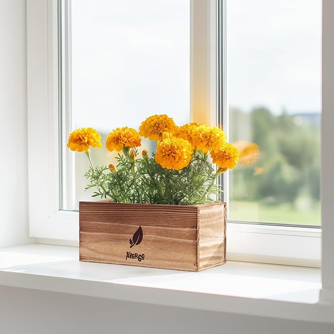 Marigold Seeds Flower Growing Kit – Complete Indoor & Outdoor Kit with Marigold Seeds, Planter, Soil, Tools, Instructions – Ideal for Planting Marigold Flowers at Home or Garden