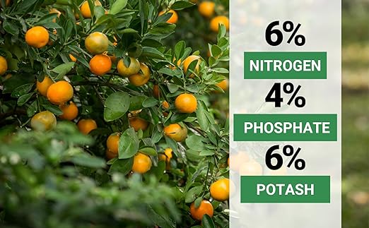 6-4-6 Avocado & Citrus Tree Fertilizer for Indoor Plants & Outdoor Plants | Quick-Release Nitrogen Fertilizer : Orange, Lime, Avocado & Lemon Tree Fertilizer - Citrus Fertilizer (3 Quarts)