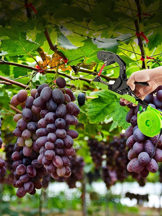 GROWNEER Upgraded Plant Tying Machine, Garden Tape Tool with 25 Rolls Tapes and 10000pcs Staples, Lightweight Plant Tape Gun Tying Tape Tool to Tie Up Vine Tomatoes Grapes Vegetables Garden, Green