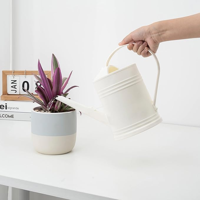 Watering Can for Indoor Plants, Flower Watering Can, Plastic Water Can for Plants, Indoor Watering Can with Sprinkler Head 68 oz, 1/2 Gallons