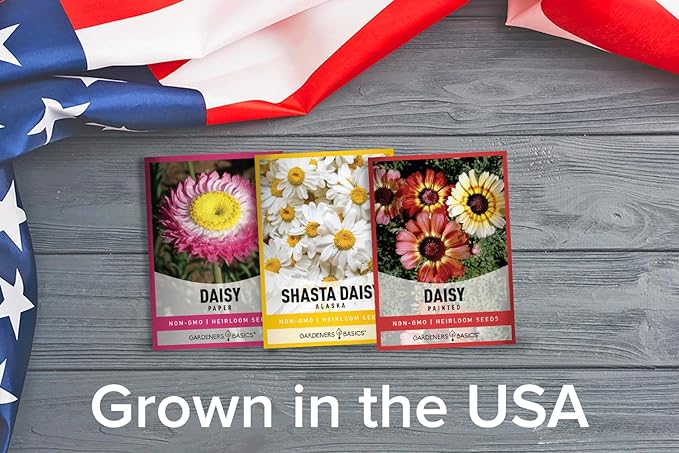 Gardeners Basics, Daisy Seeds for Planting Outdoors Flower Seeds (3 Variety Pack) Alaska Shasta Daisy, Painted Daisy, Yellow Daisy Varieties for Butterflies, Bees, Pollinators Wildflower Seed