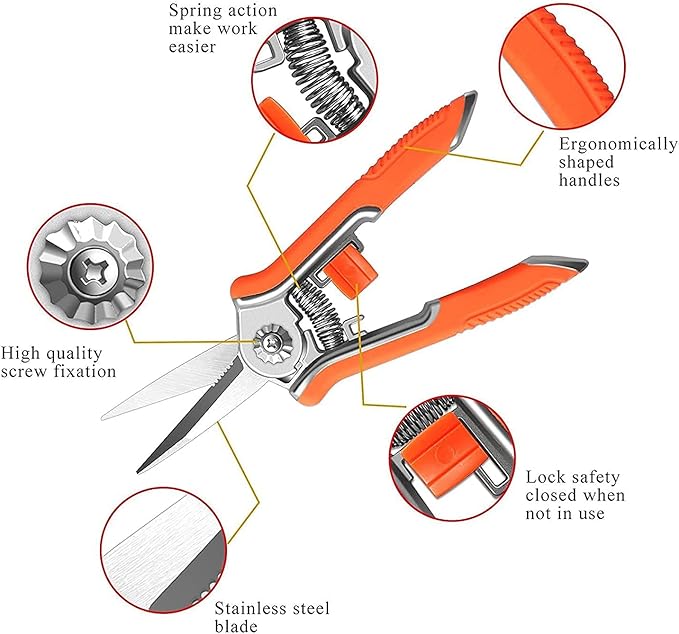FLORA GUARD 6.5 Inch Micro-Tip Pruning snip Gardening Hand Pruning Shears Trimming Scissors with Stainless Steel(Orange)