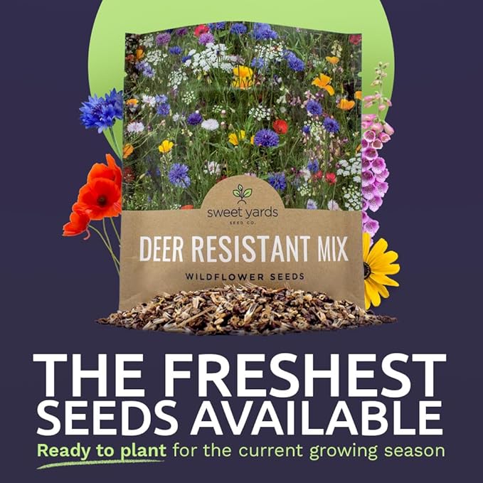 Deer Resistant Wildflower Seed Mixture - Bulk 1 Ounce Packet - Over 15,000 Deer Tolerant Seeds - Open Pollinated and Non GMO