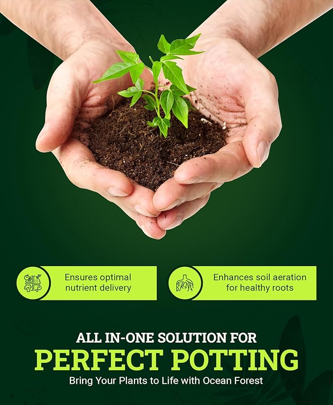 FoxFarm Ocean Forest Potting Soil, 12qt – Light, Aerated Texture, Designed for All Container Plants – pH Adjusted for Optimal Nutrient Uptake, Effectively Retains Moisture (12 Quart (4 Pack))