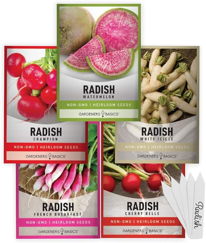 Gardeners Basics, Radish Seeds for Planting 5 Individual Packets - Watermelon, French Breakfast, Champion, Cherry Belle, White Icicle for Your Non GMO Heirloom Vegetable Garden