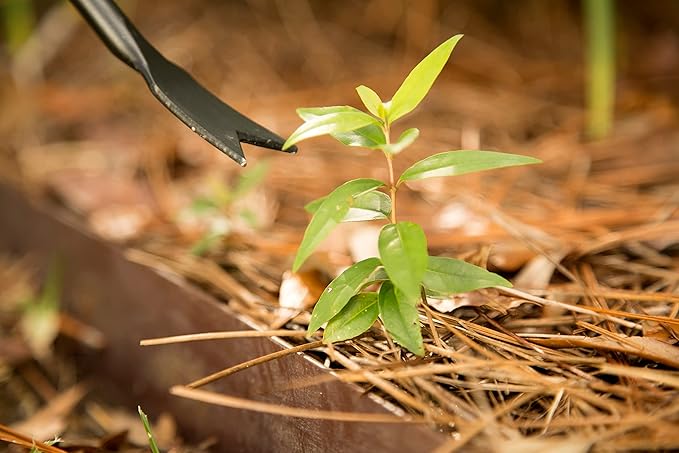 Ames COMPANIES THE 2942100 Forg Dandelion Weeder