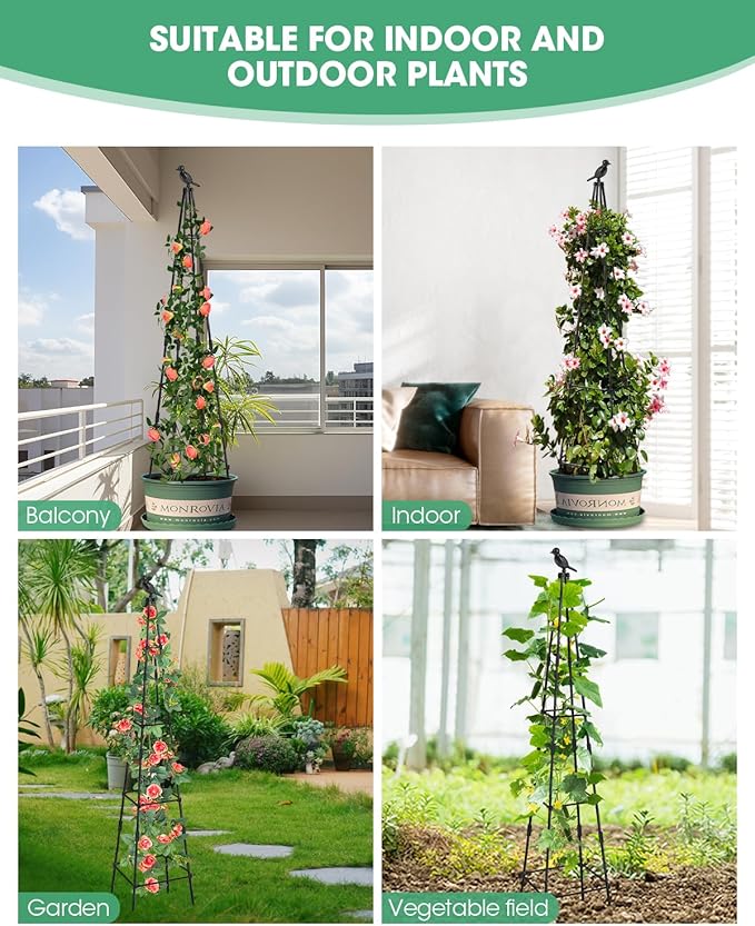 Trellis for Climbing Plants Outdoor, 2 Pack Plant Trellis Support for Climbing Vine, Plant Support Tower Cages Plastic Coated Metal Pipe Supports for Outdoor Indoor,Tomato cage (Black, 5 FT)